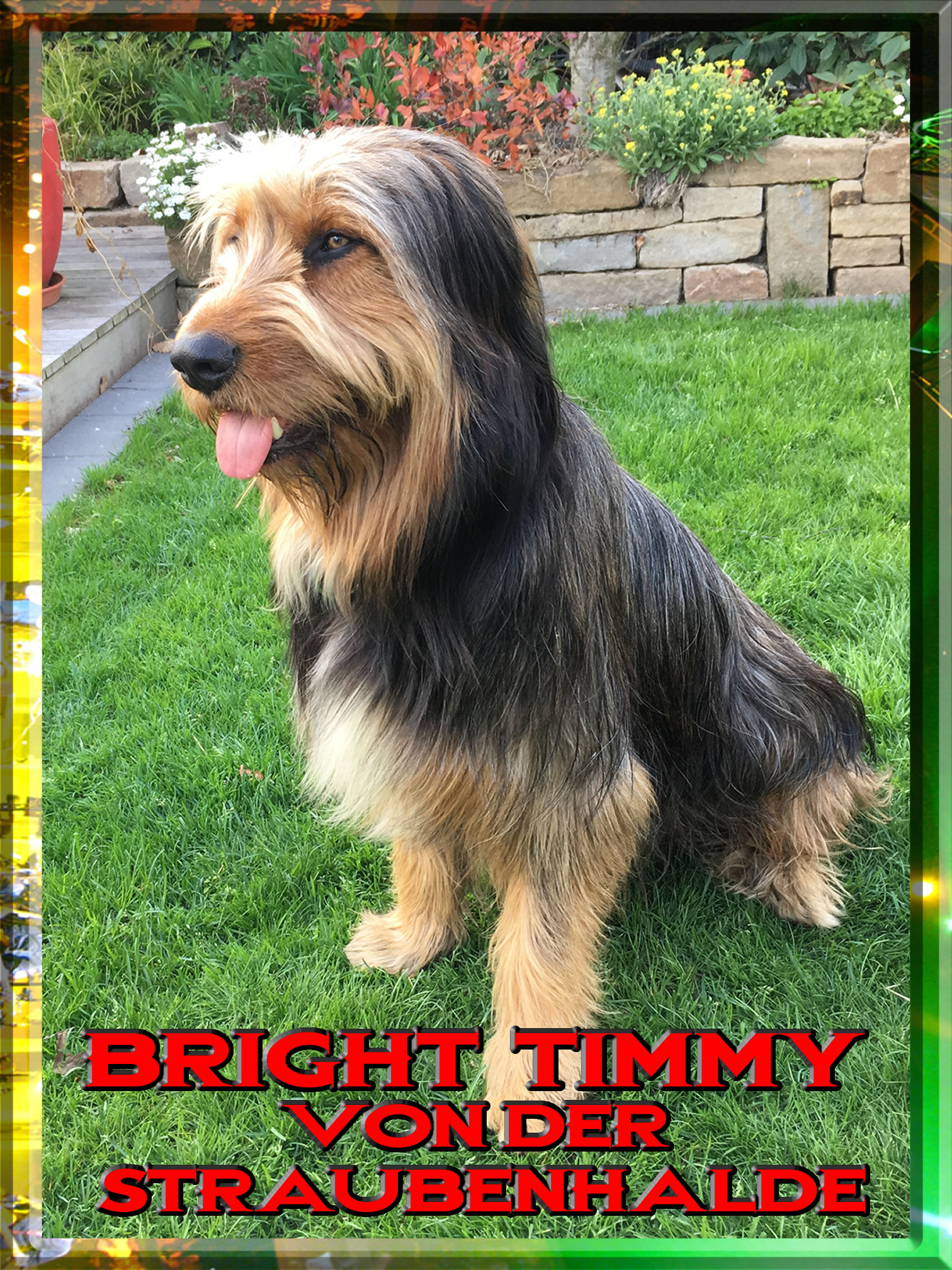 Wäller von der Straubenhalde